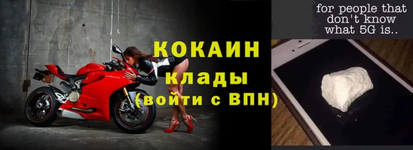 метадон Алексин